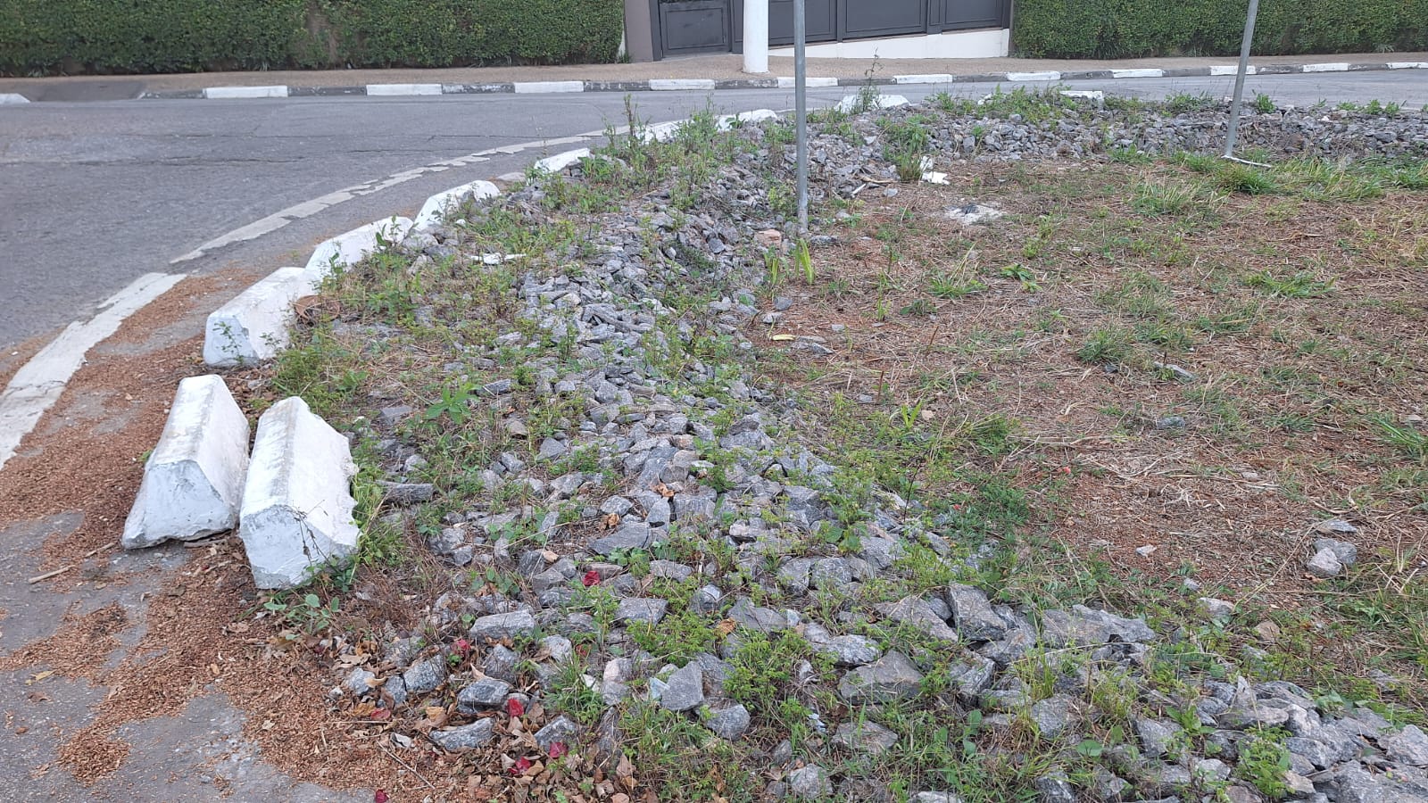SAJAPE cobra revitalização de rotatória abandonada na Rua Job Lane